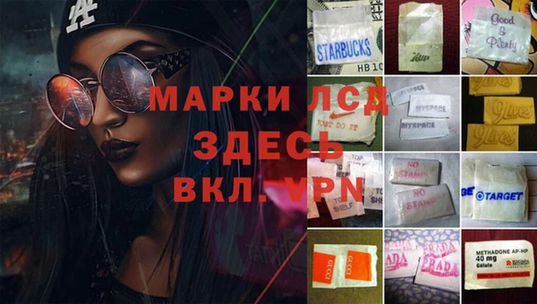 спиды Снежинск