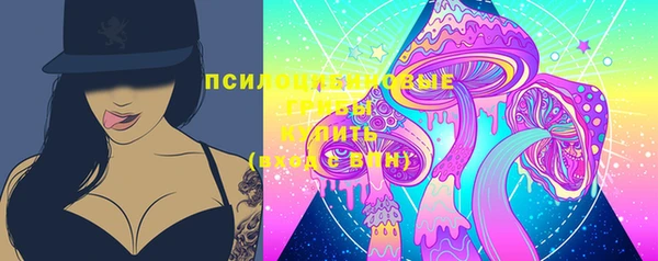 прущий лед Малоярославец